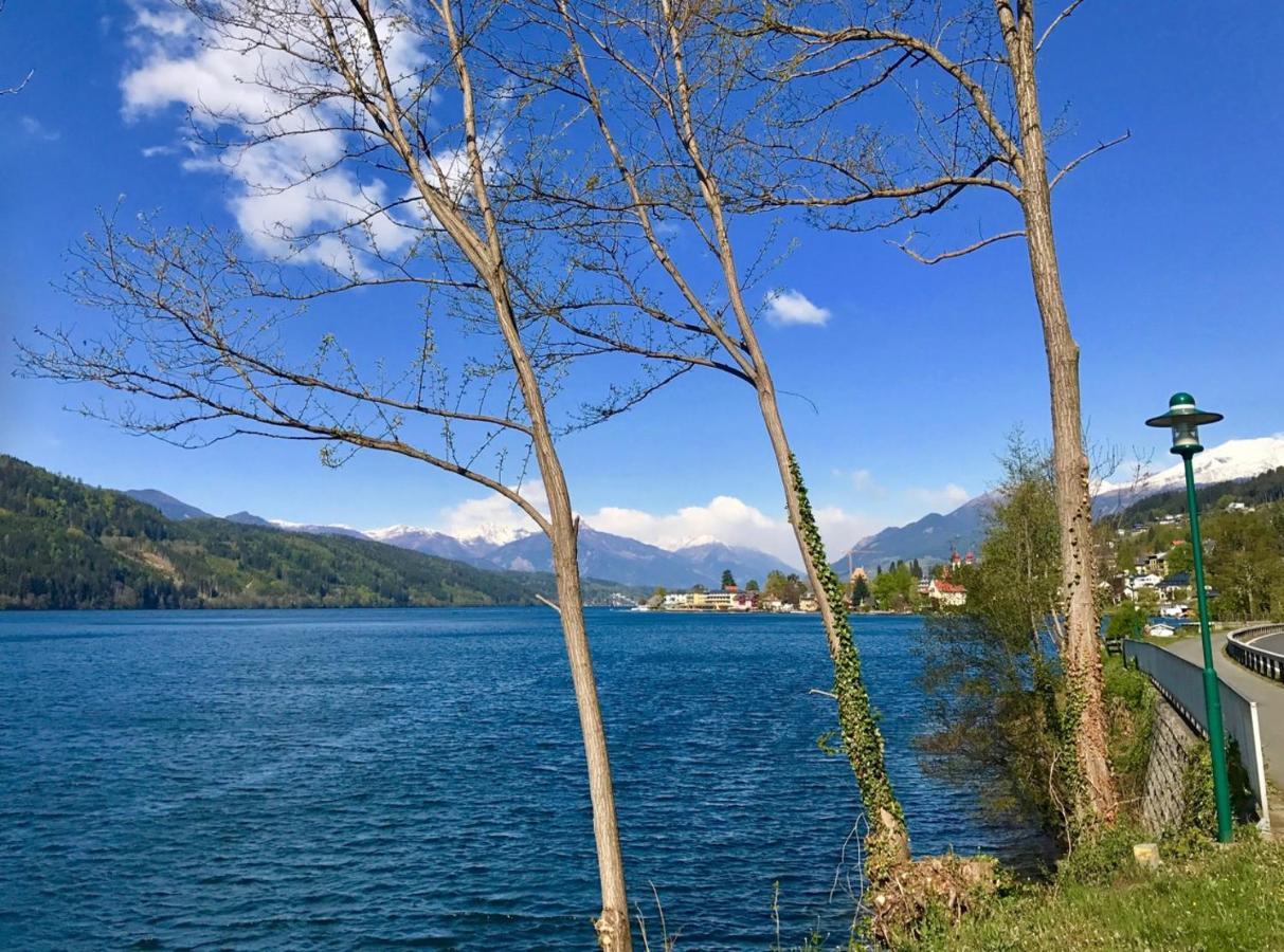1Schoenes Ferienhaus Im Sonnigen Kaernten 多布里亚赫 外观 照片